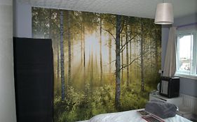 Dan'S House